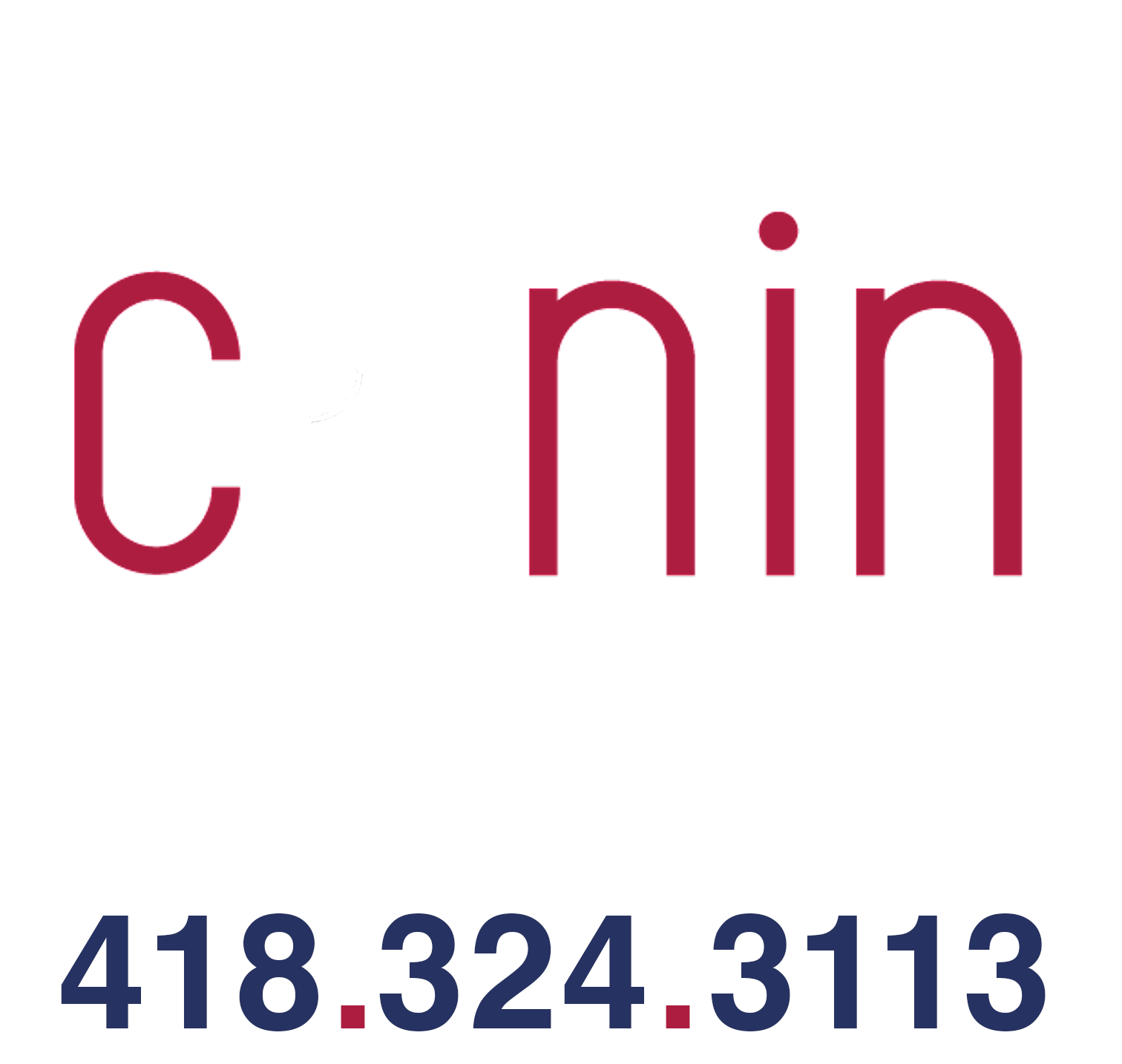 Comportement Canin Charlevoix